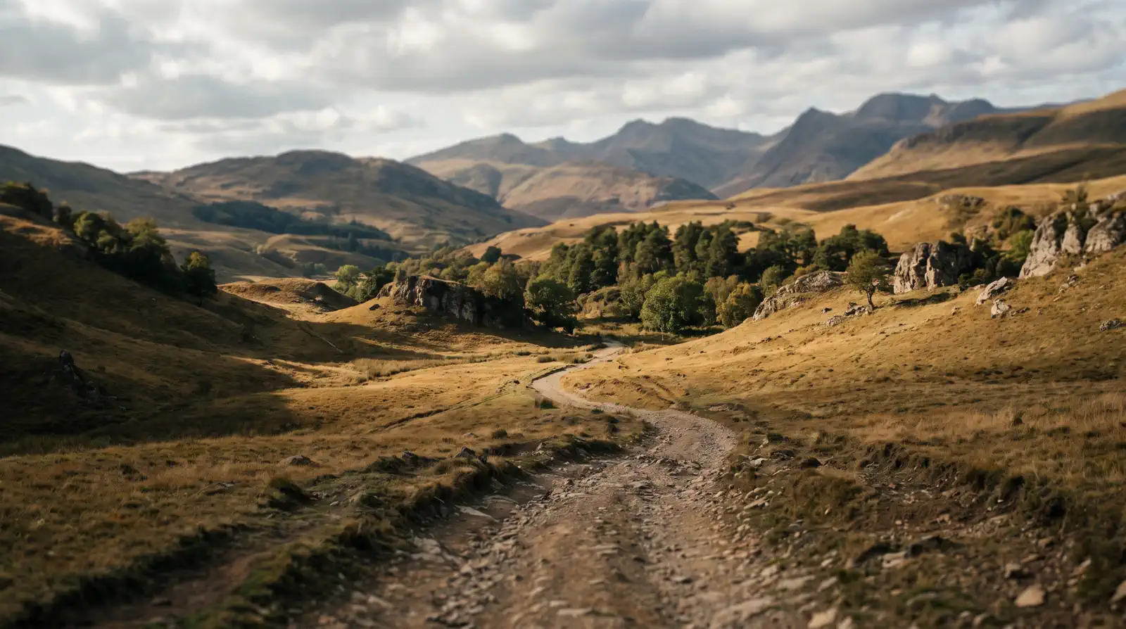 A Colombian coffee farm on steep Andean mountainsides beneath drifting cloud