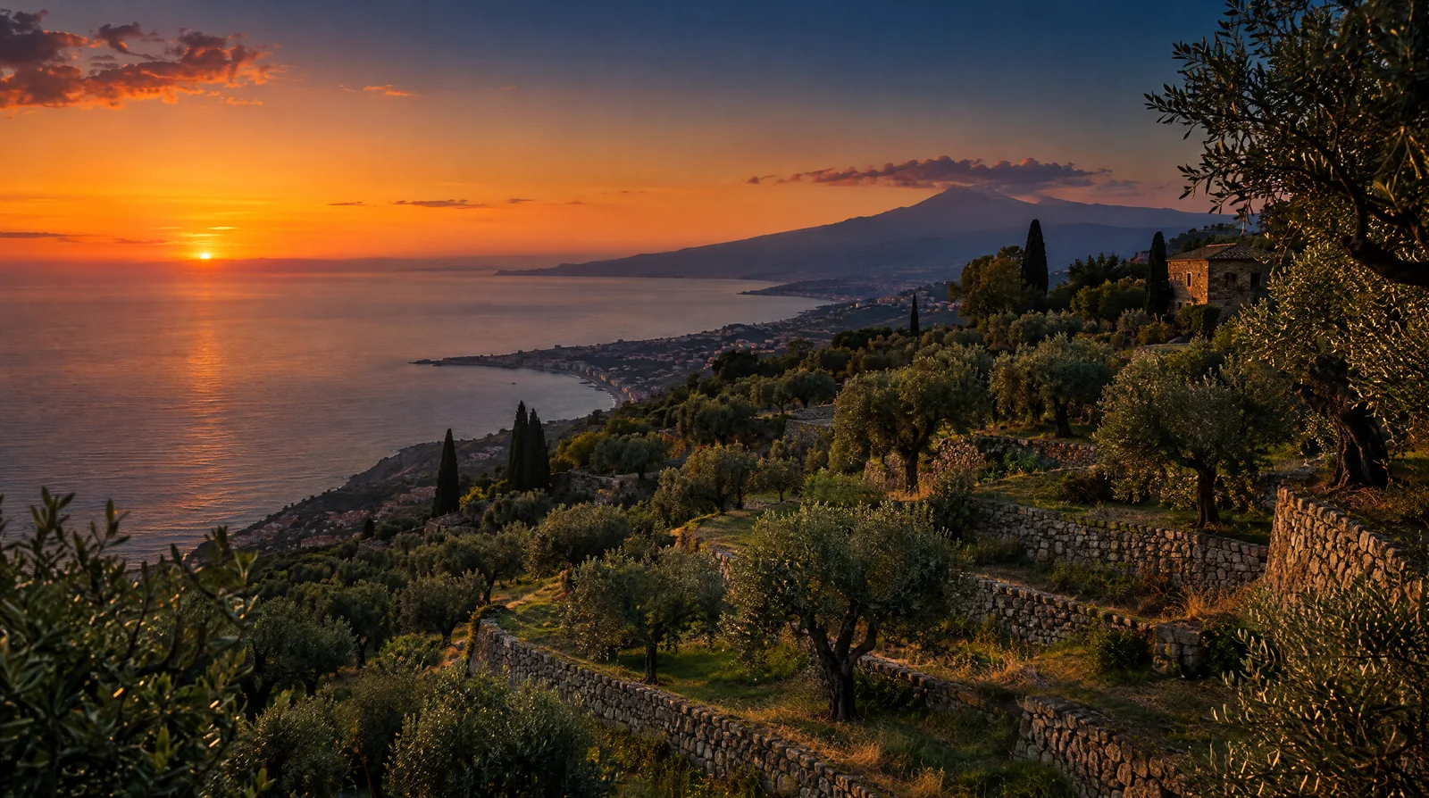 Terraced olive groves on a Sicilian hillside above a calm sea at dusk